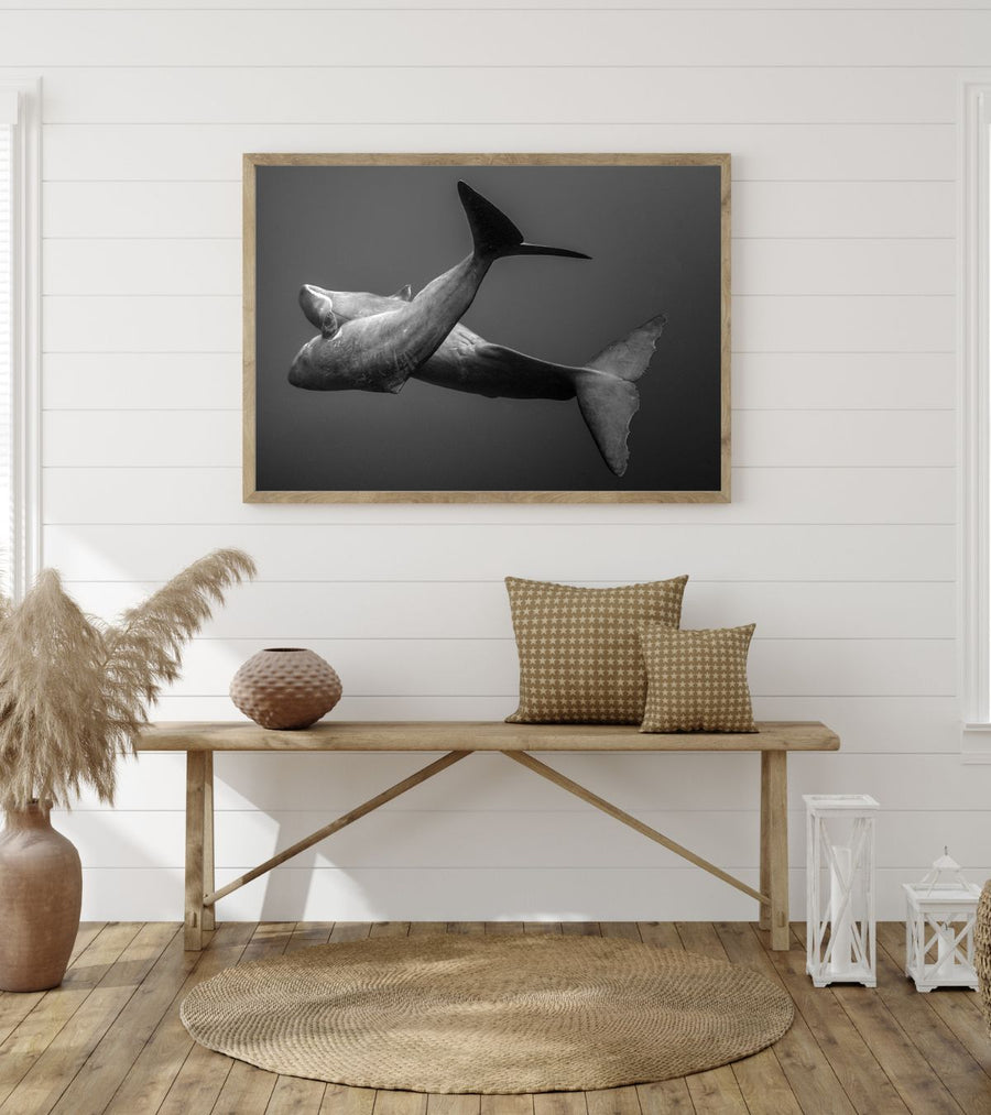 Book + art print — E to H