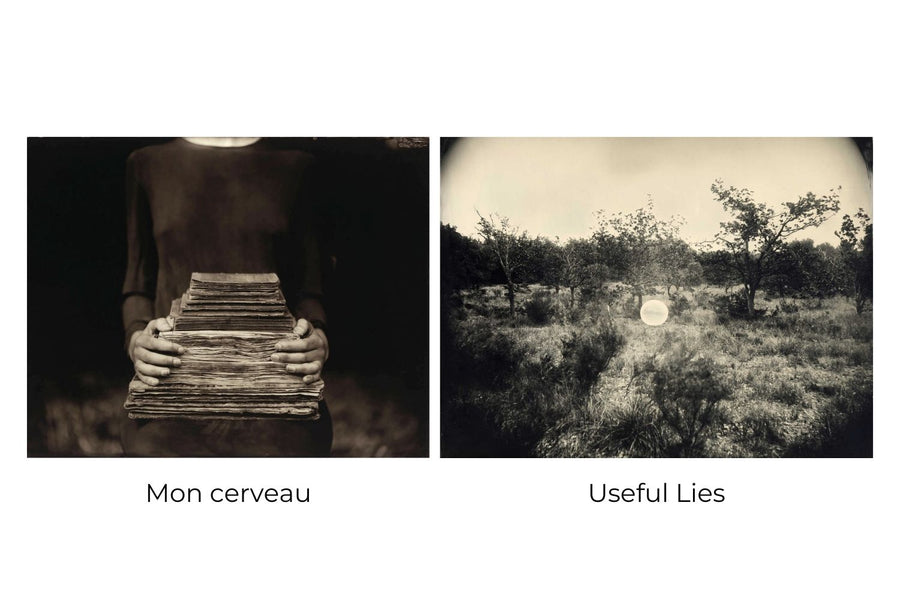 the Useful Lies book in a limited edition of 50 signed and numbered copies