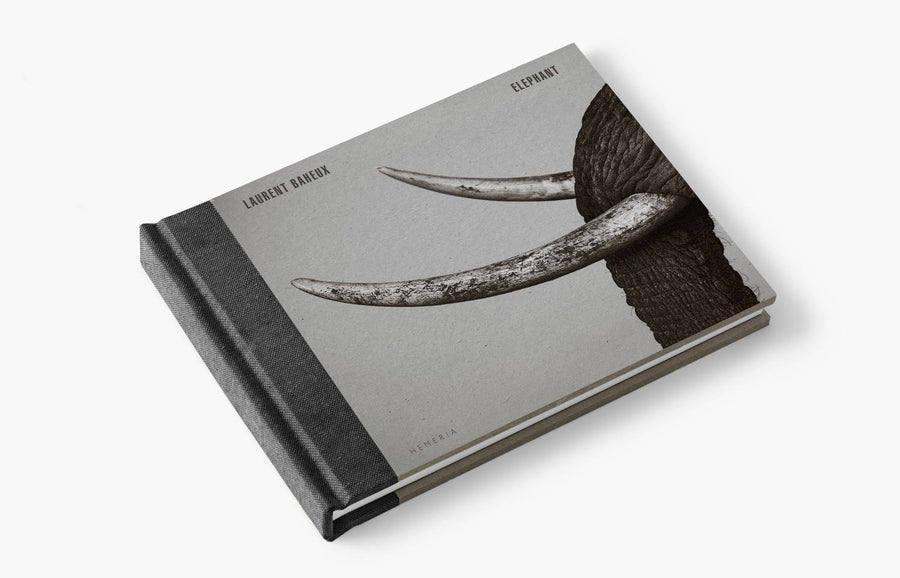 the Elephant book at home (59 € public price as soon as it is released)