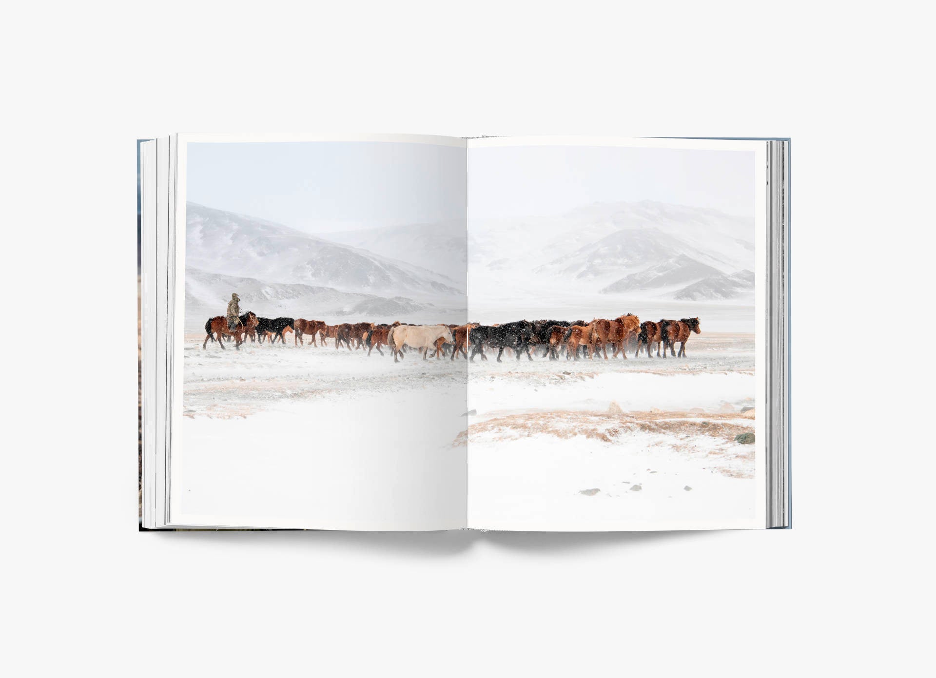 Altai - Claire Thomas