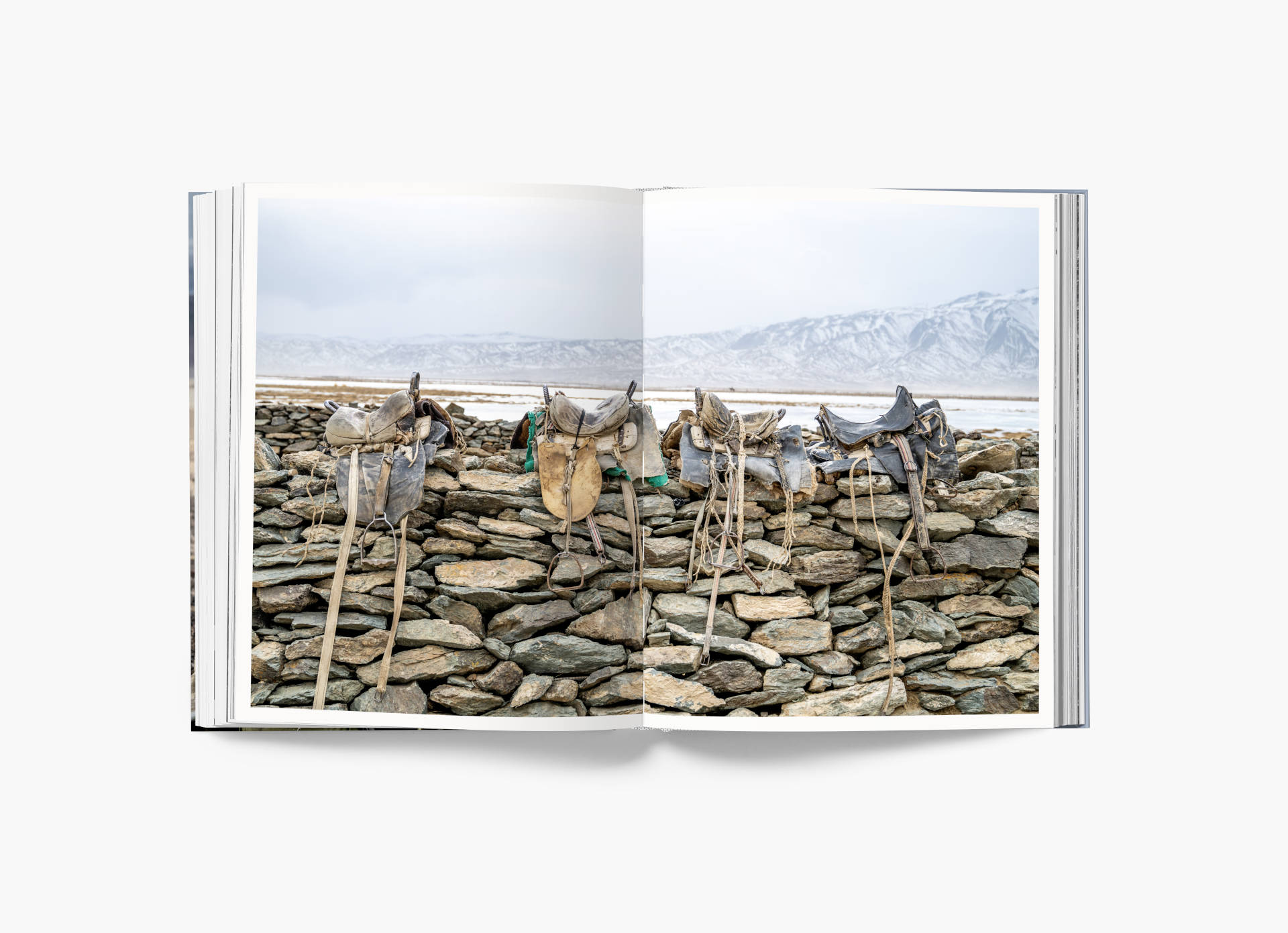 Altai - Claire Thomas