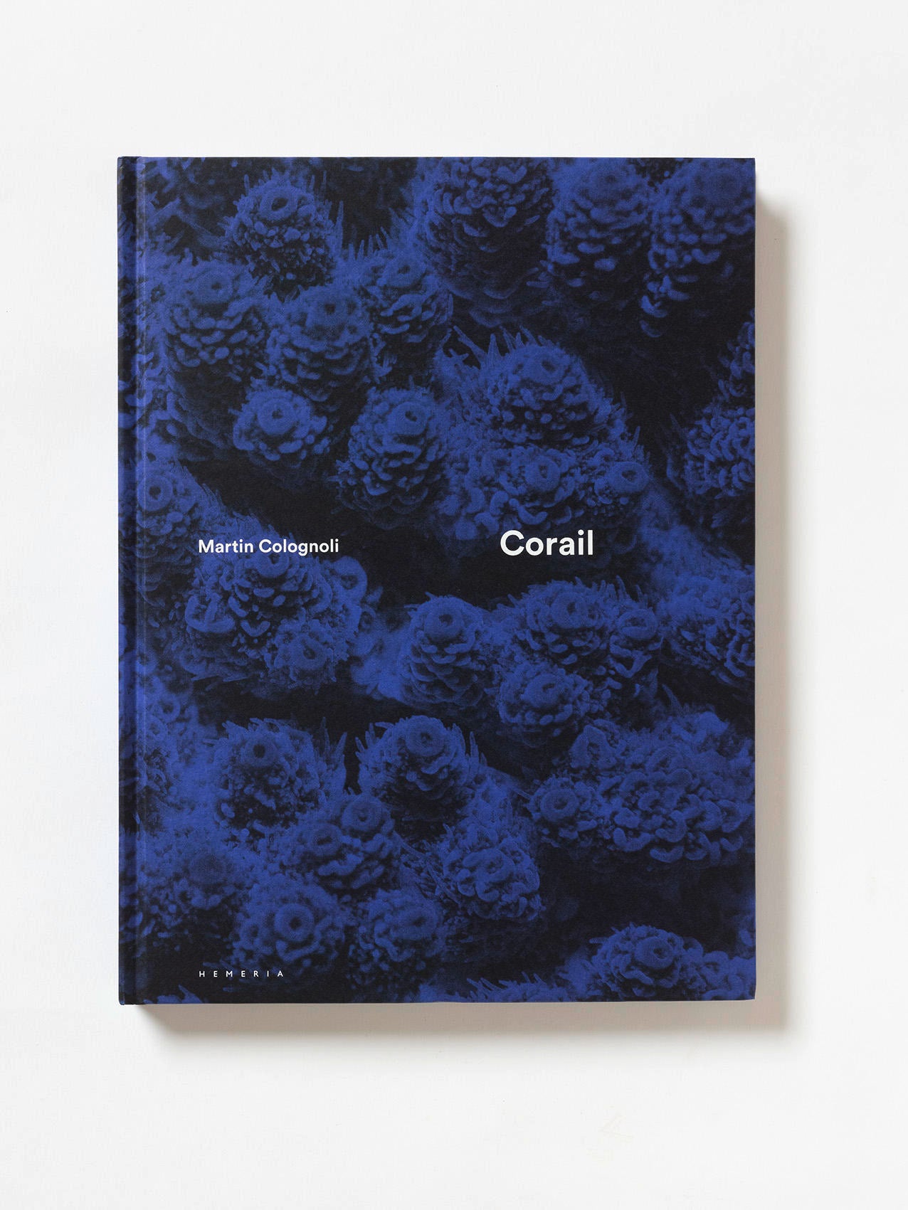 Coral - Martin Colognoli