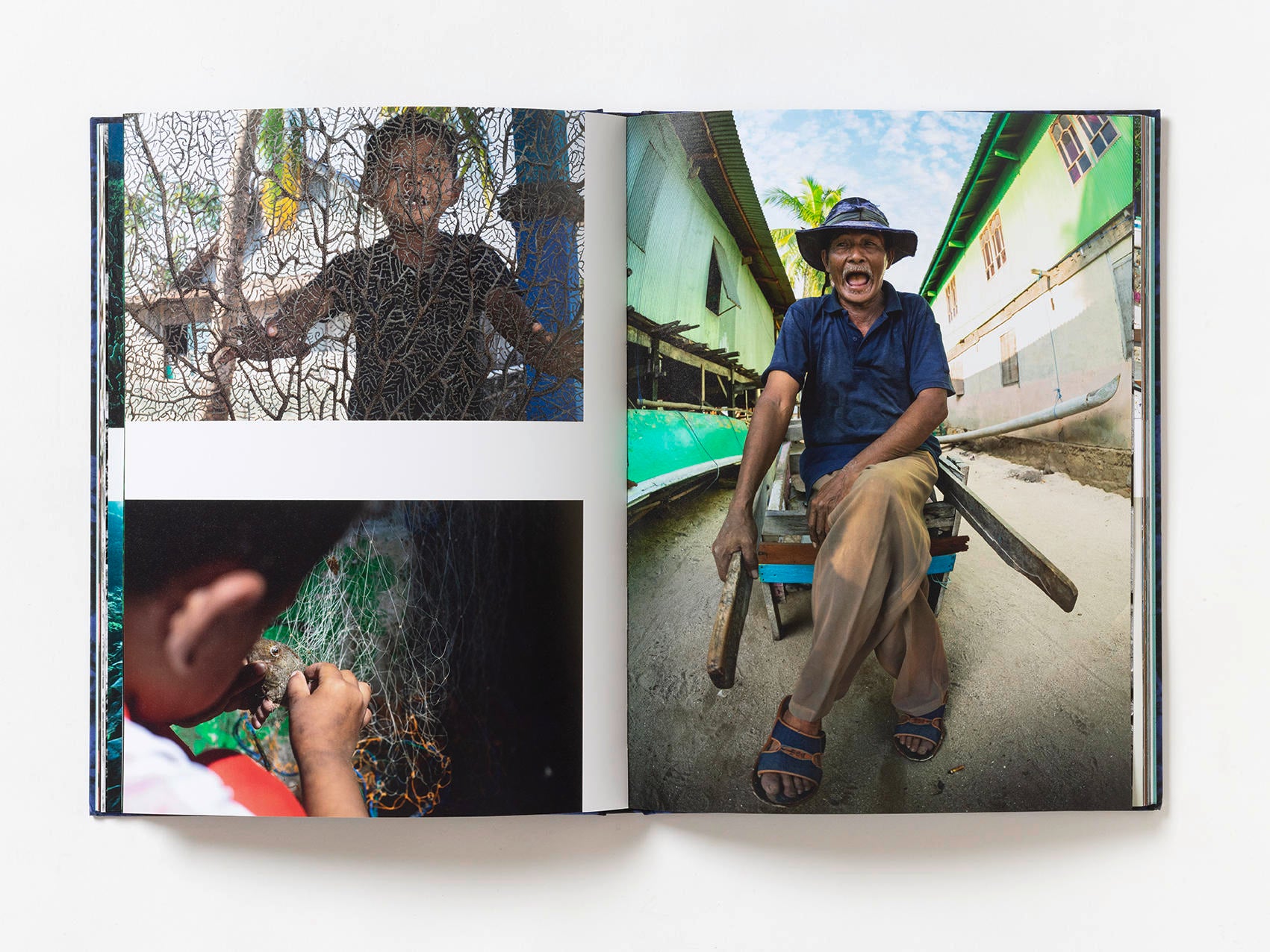 Coral - Martin Colognoli