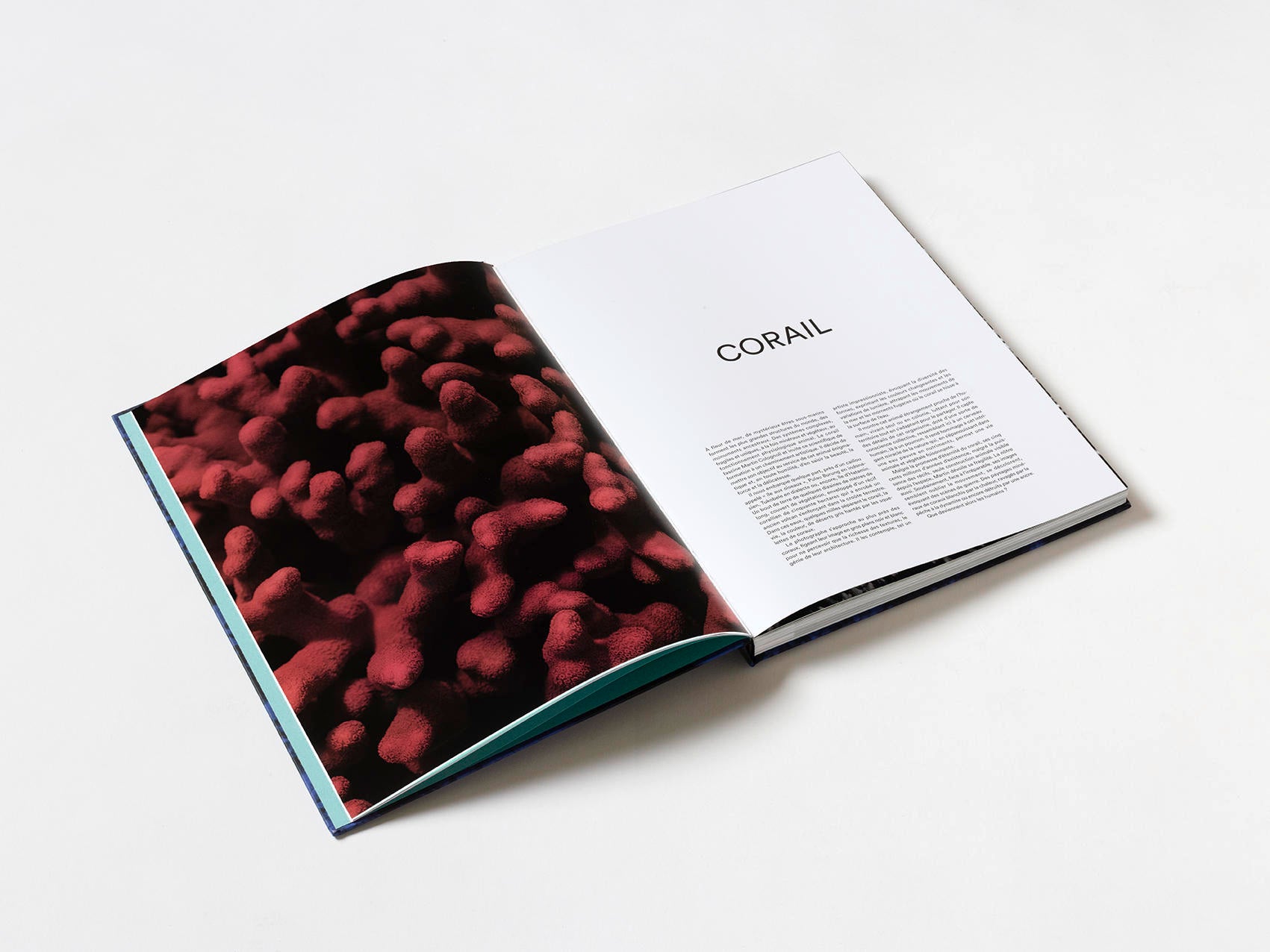 Coral - Martin Colognoli