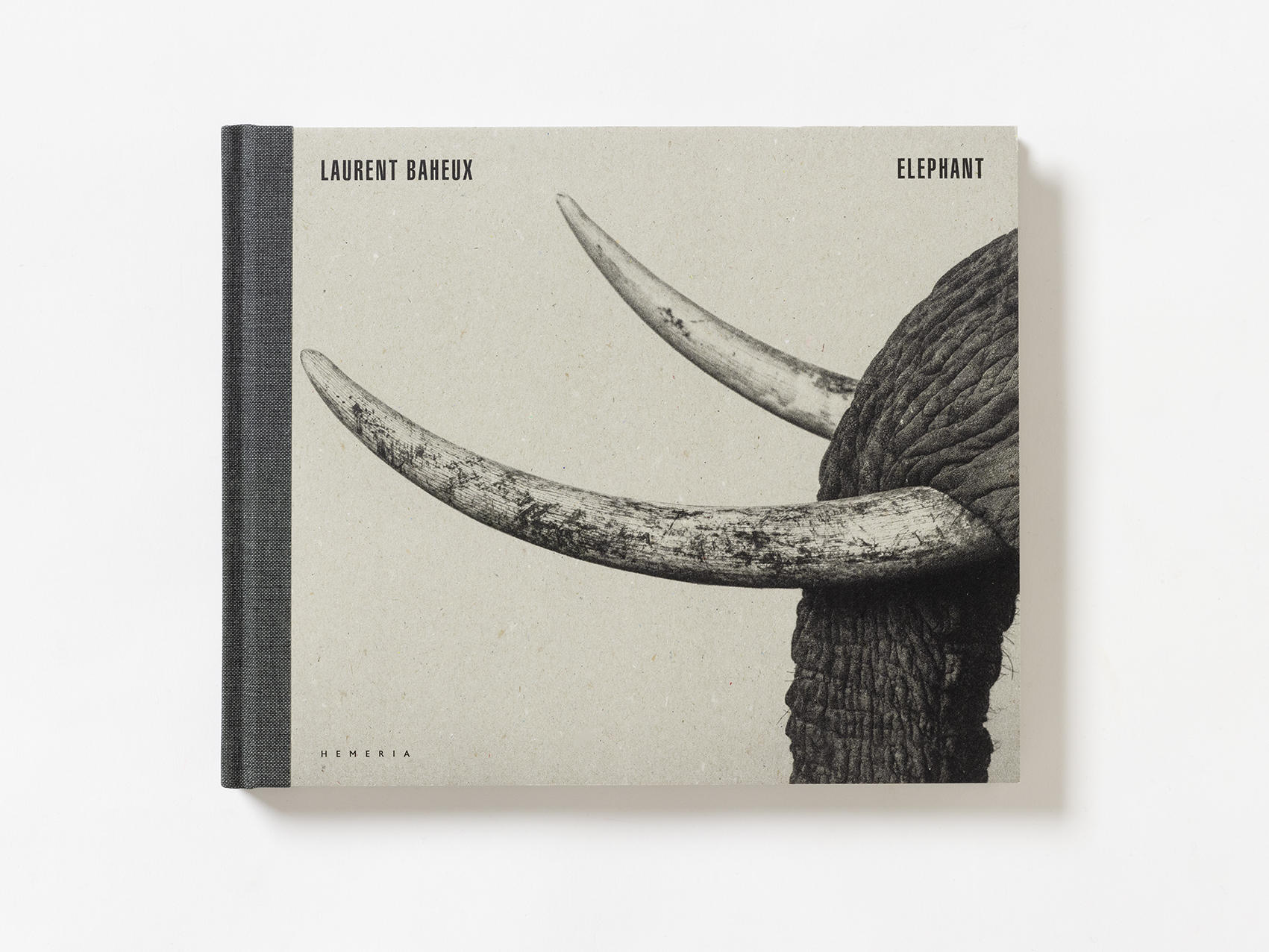 Elephant - Laurent Baheux