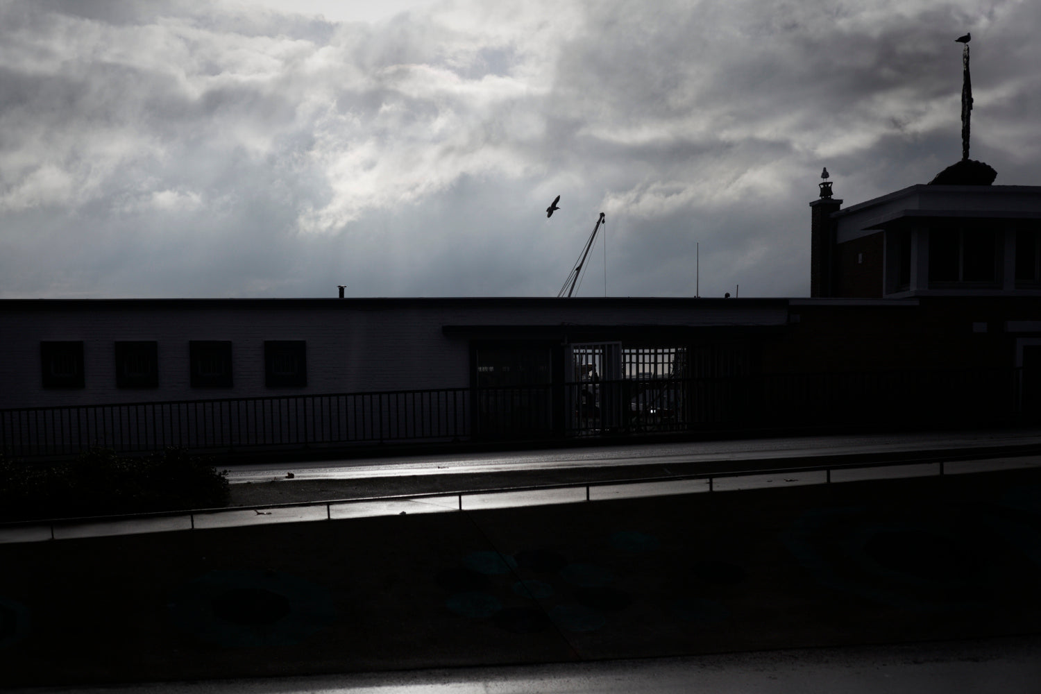 Fine Art La furie et la foi