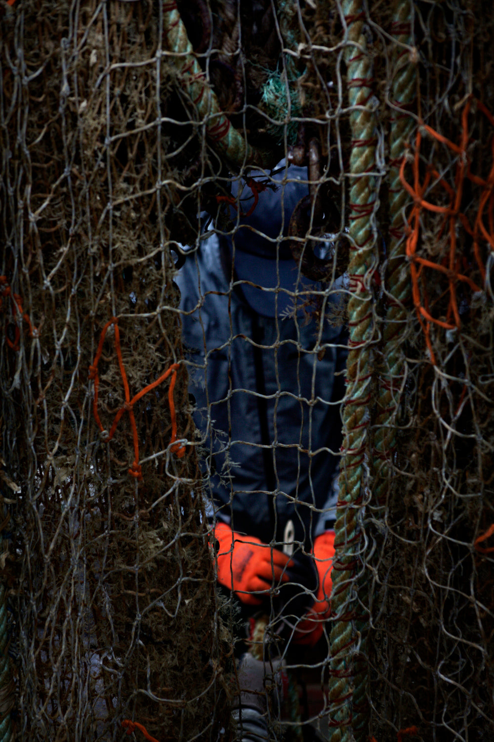 Fine Art La furie et la foi