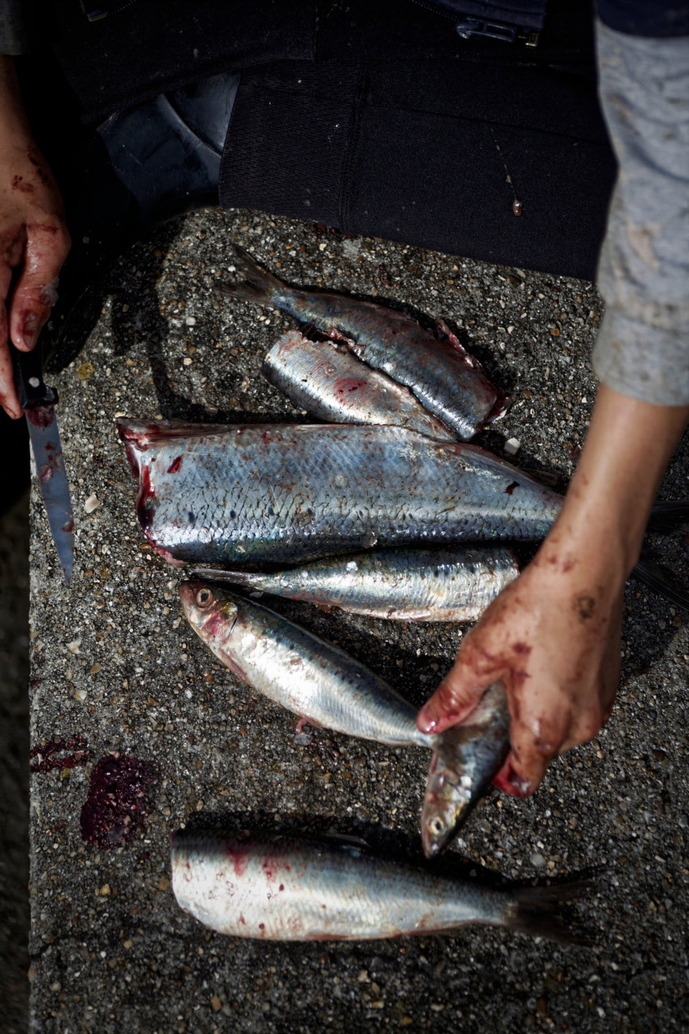 Fine Art La furie et la foi