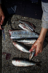 Fine Art La furie et la foi