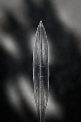 Fine Art La furie et la foi