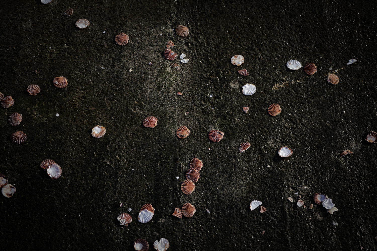 Fine Art La furie et la foi