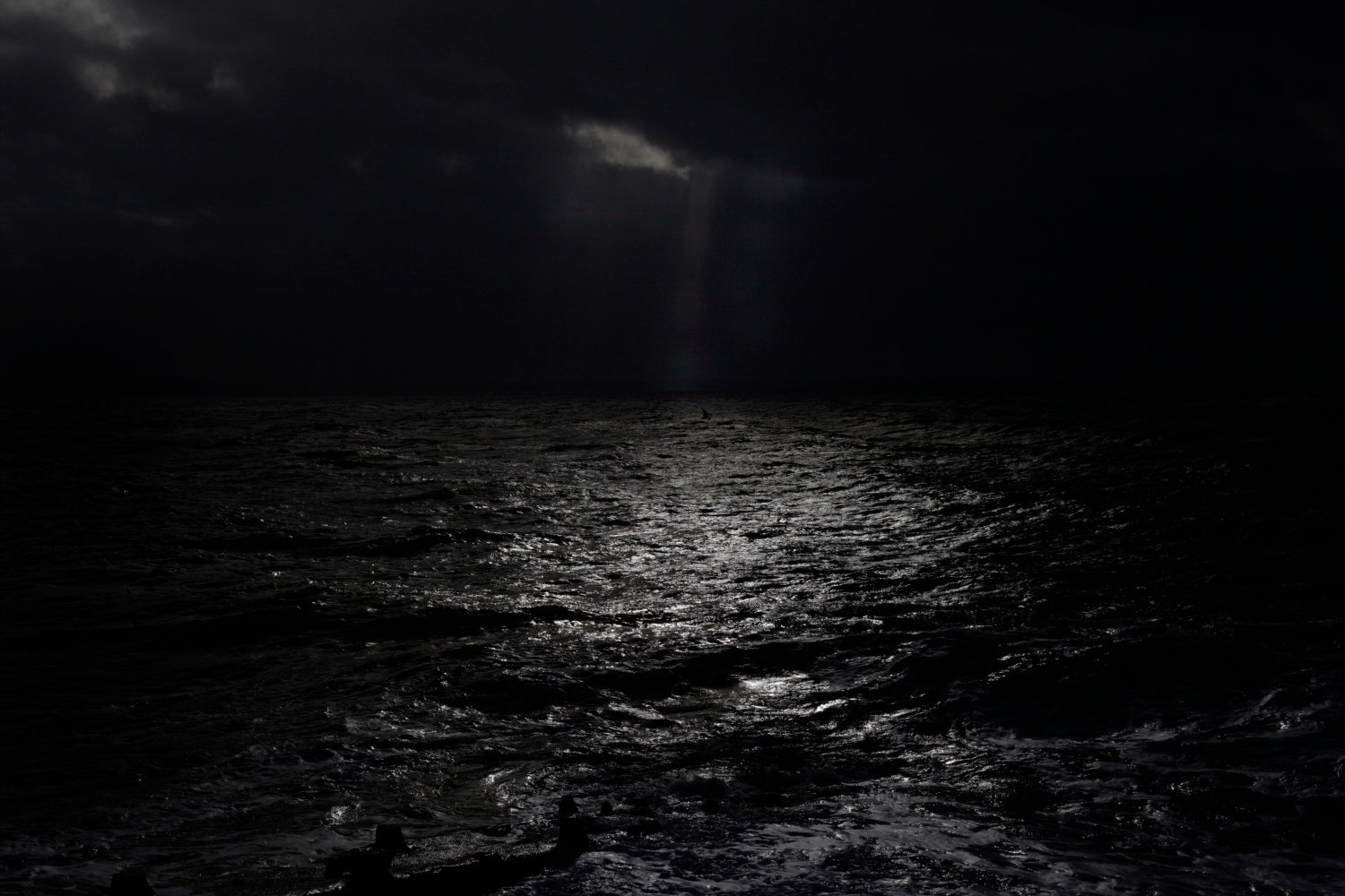 Fine Art La furie et la foi