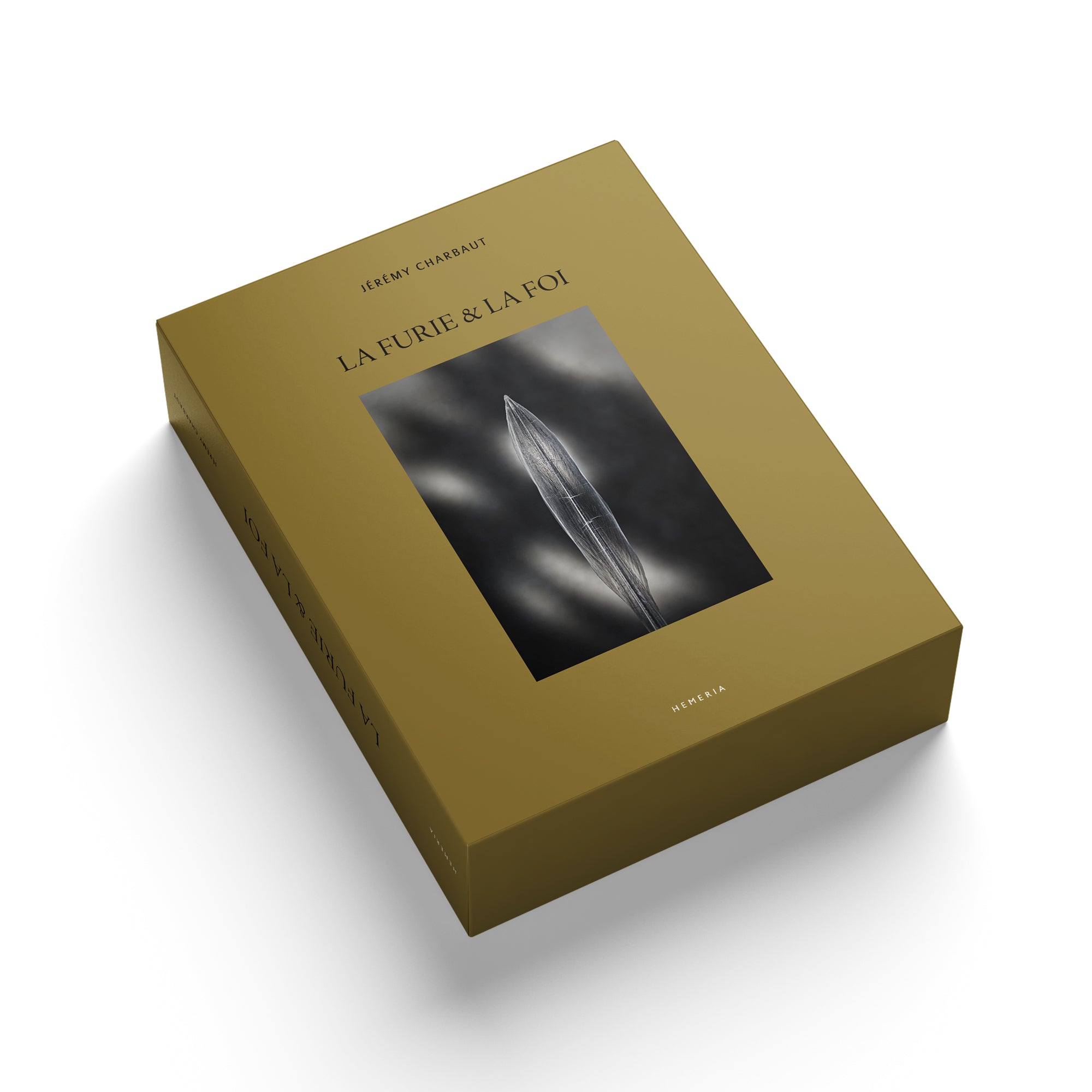 La furie et la foi - Jeremy Charbaut