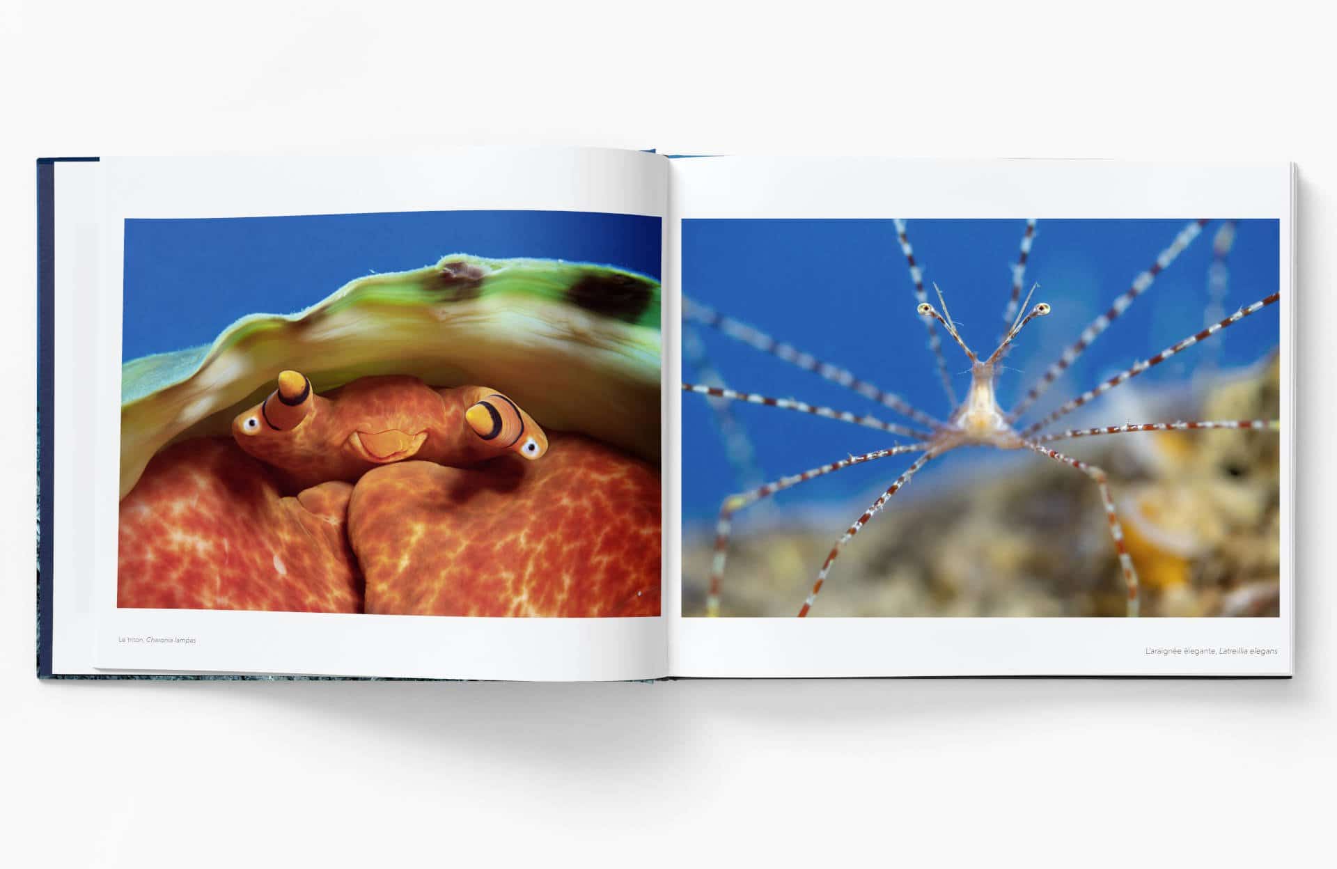 Planète Méditerranée – Laurent Ballesta