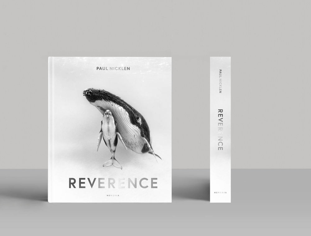Reverence — Paul Nicklen
