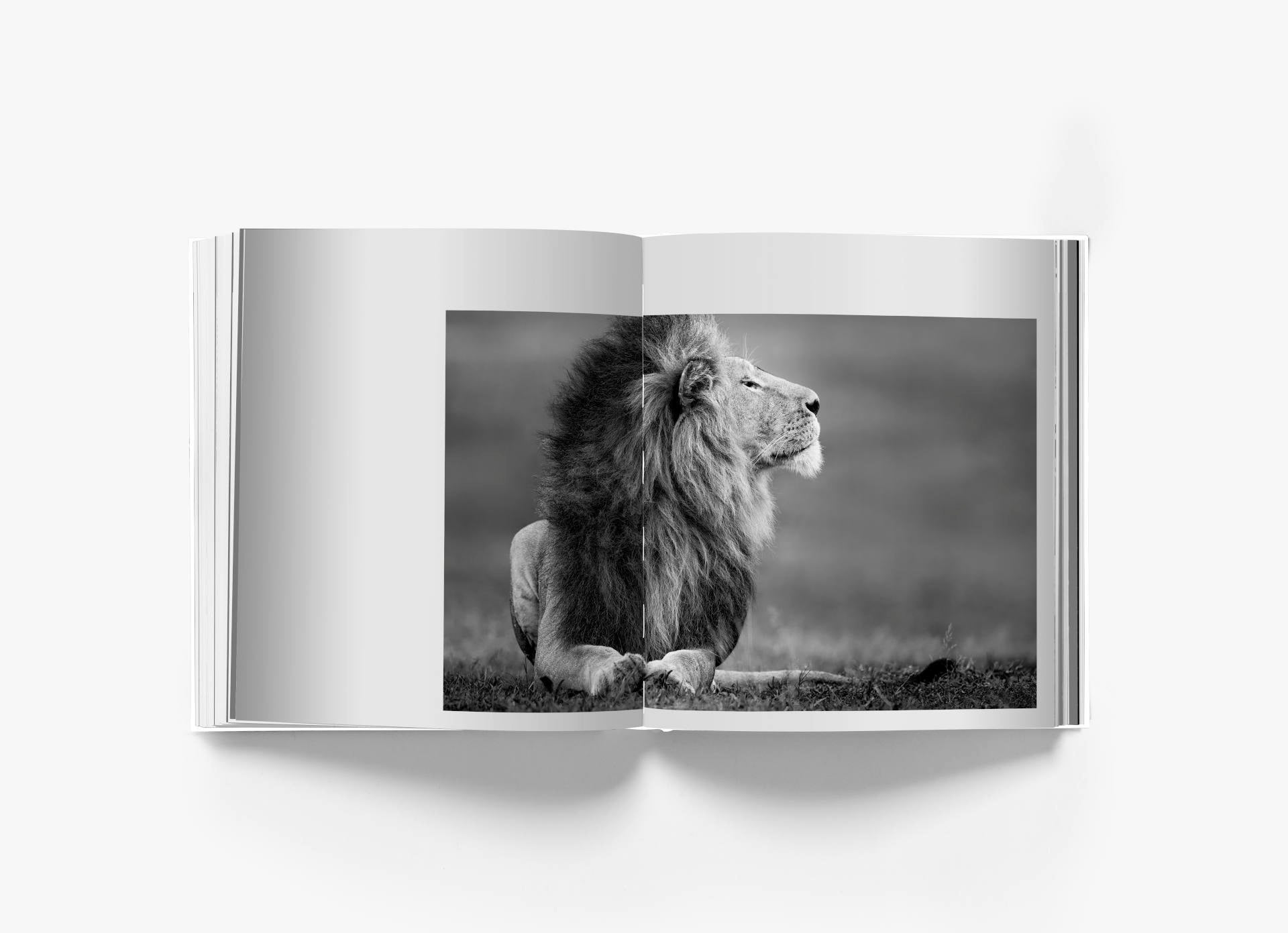 Reverence - Paul Nicklen