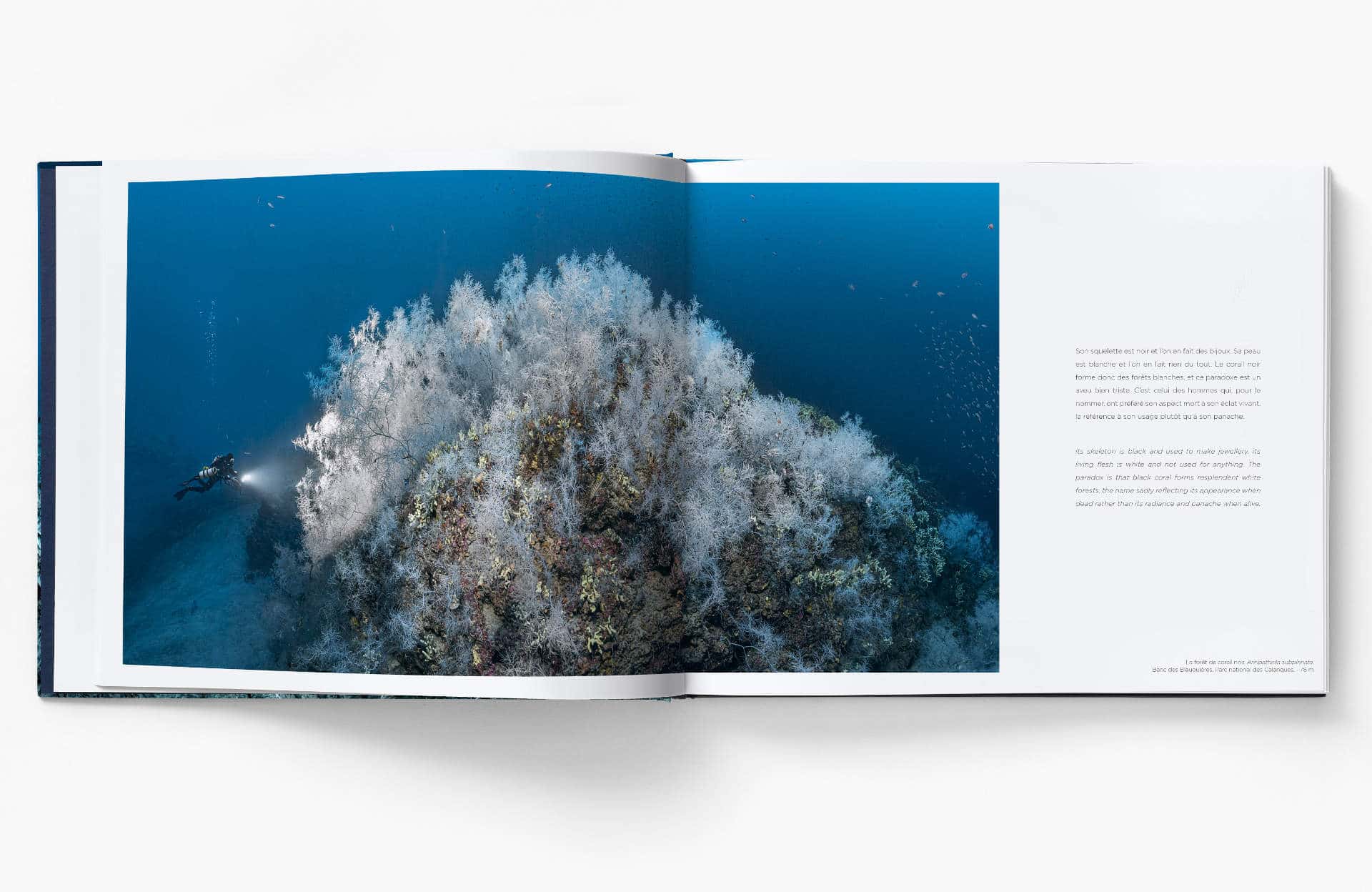 Planète Méditerranée – Laurent Ballesta