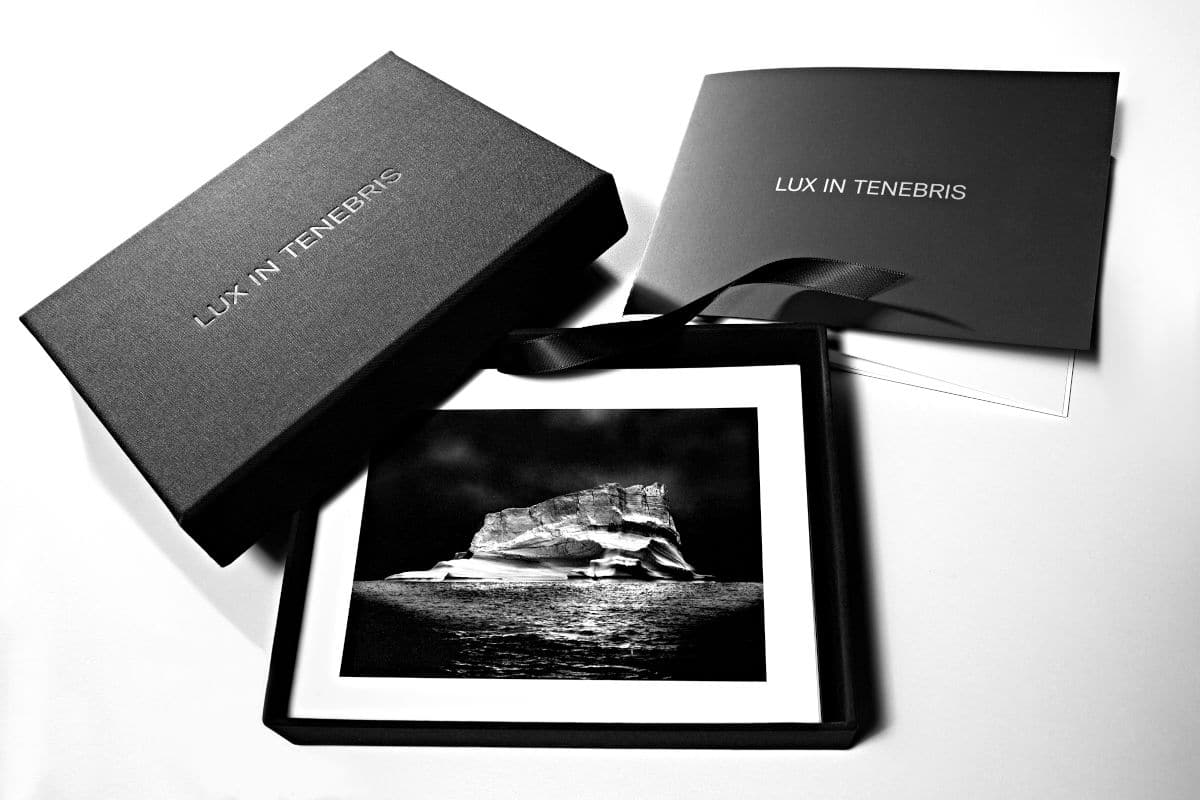 Coffret Lux In Tenebris - Patricia Canino