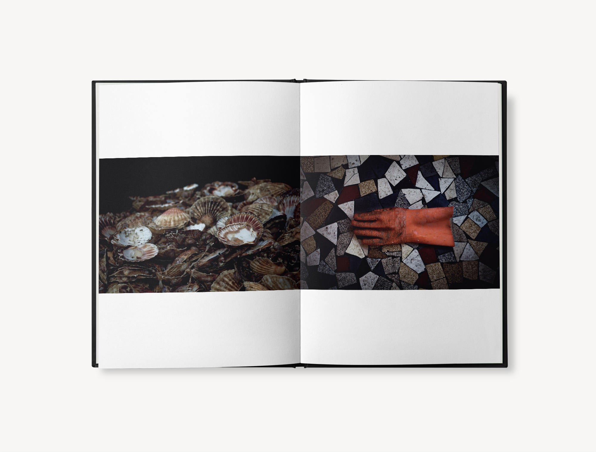 La furie et la foi - Jeremy Charbaut