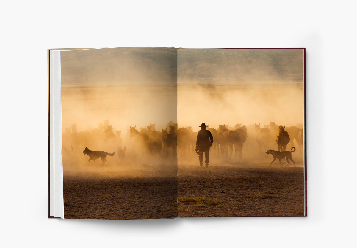 The Untold Story of the Yilki Horses