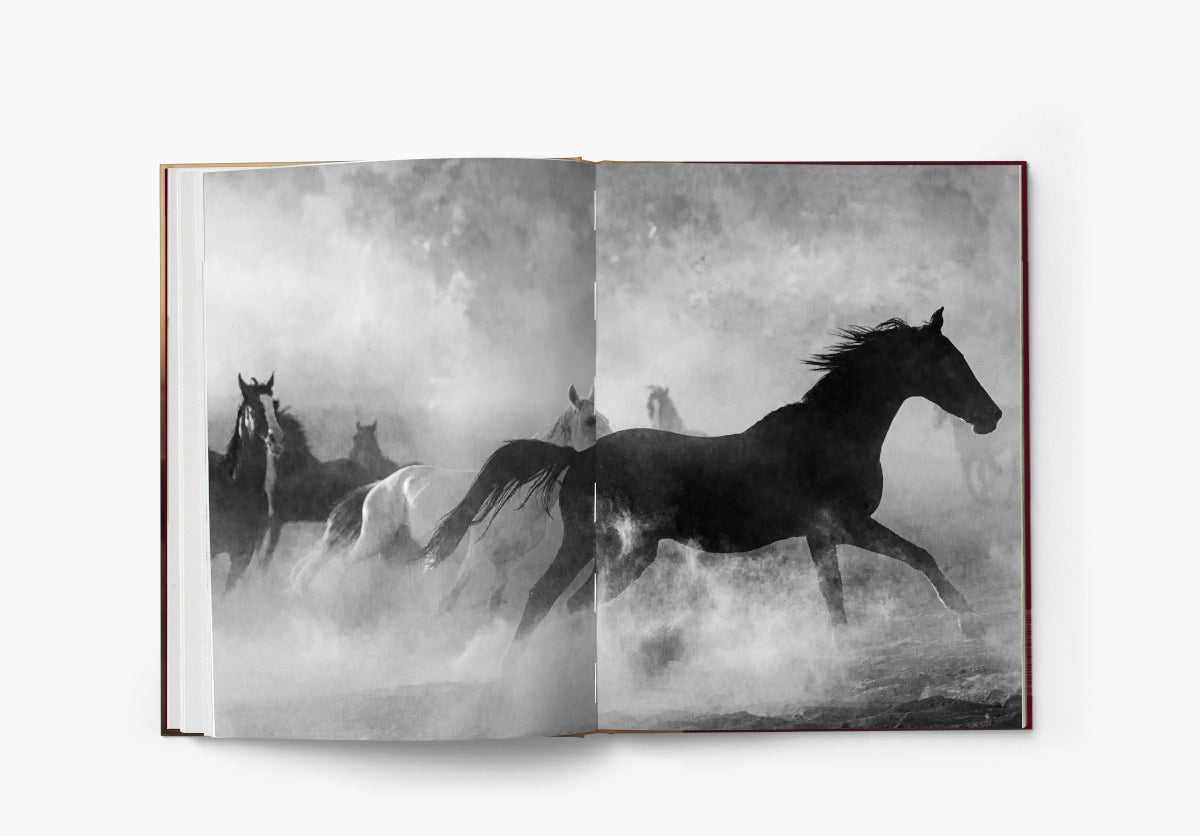 The Untold Story of the Yilki Horses