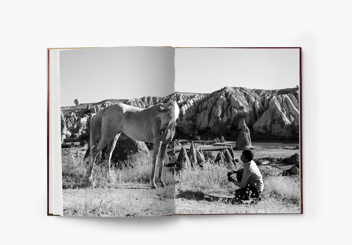 The Untold Story of the Yilki Horses