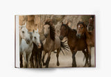 The Untold Story of the Yilki Horses