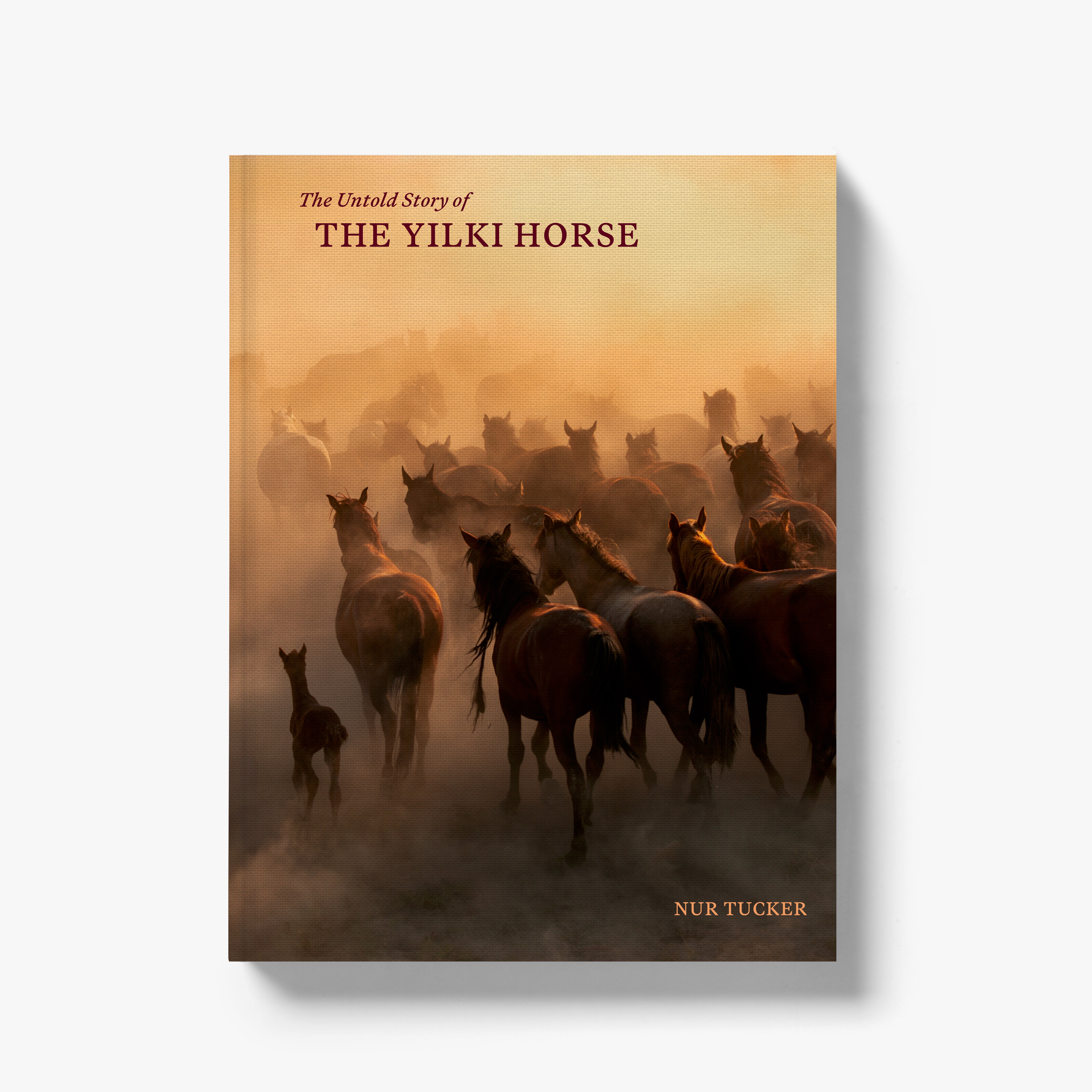 The Untold Story of the Yilki Horses
