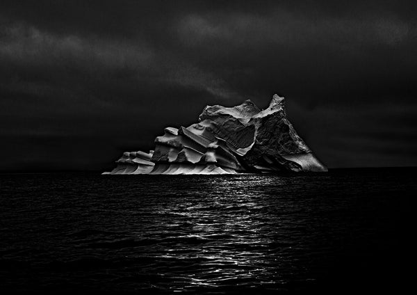 Portrait de Patricia Canino