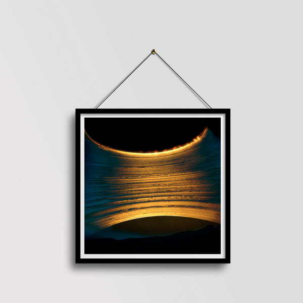 Portrait de Robert Charles Mann