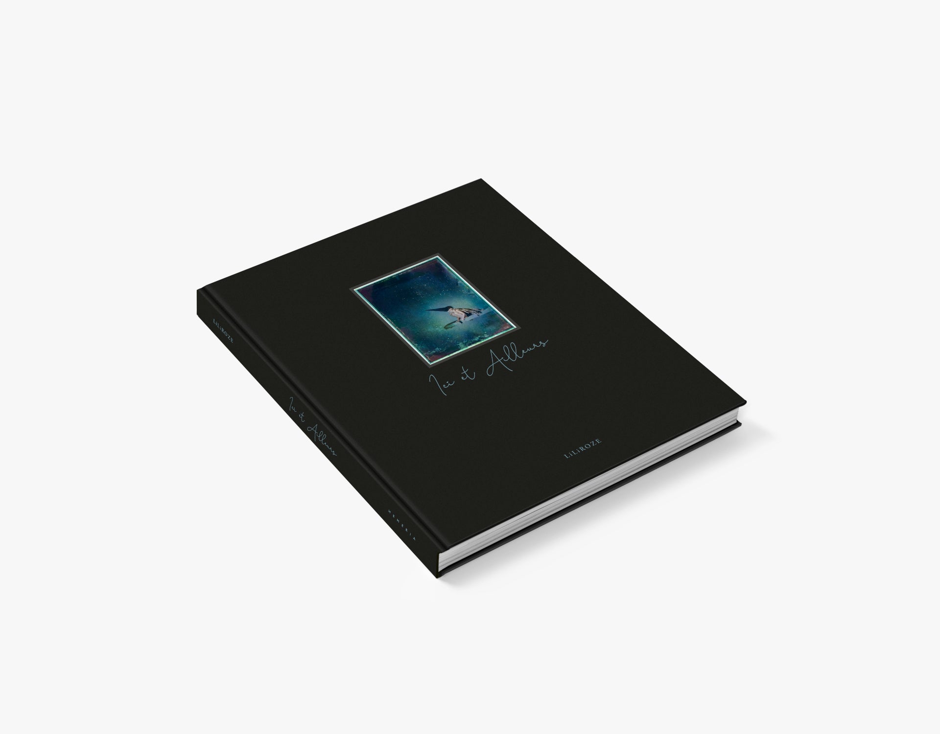 Ici et ailleurs - LiLiROZE