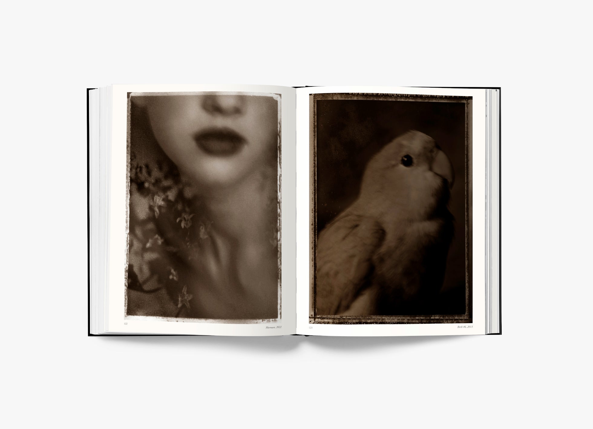 Ici et ailleurs - LiLiROZE