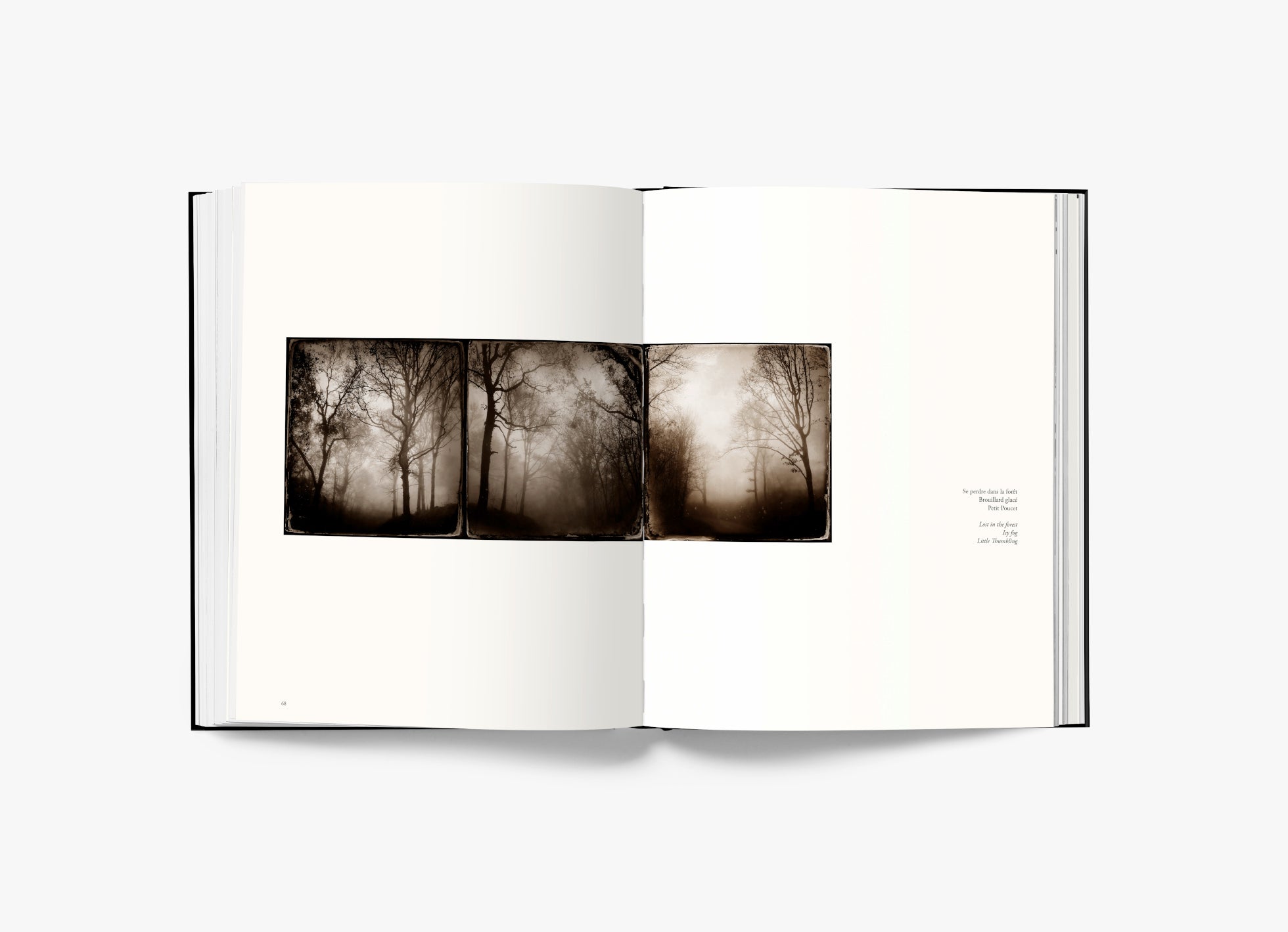 Ici et ailleurs - LiLiROZE