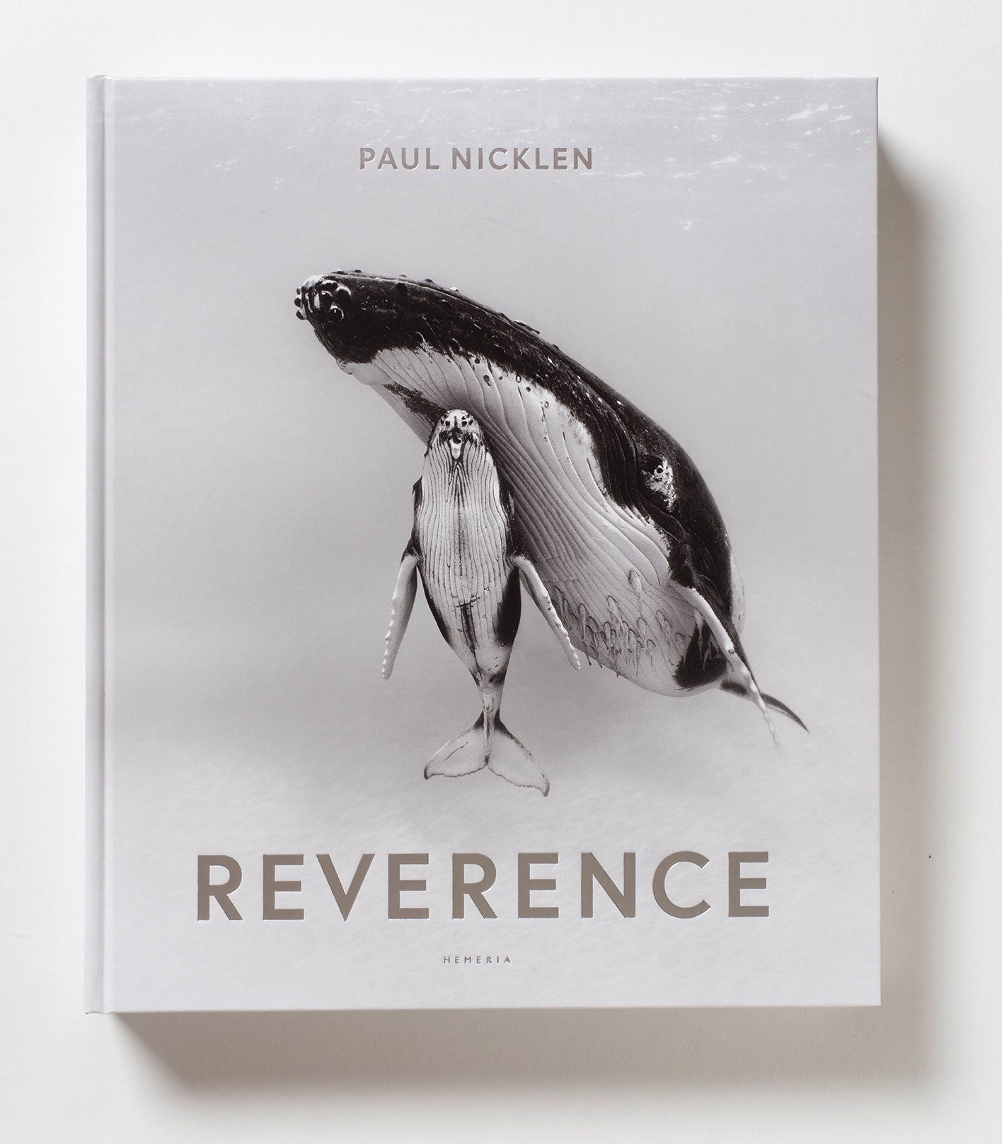 Reverence - Paul Nicklen