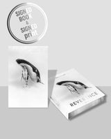 Reverence - Paul Nicklen