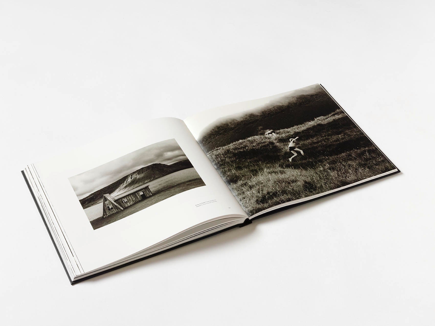 SAGAS - Olivier Joly