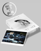 Reverence - Paul Nicklen