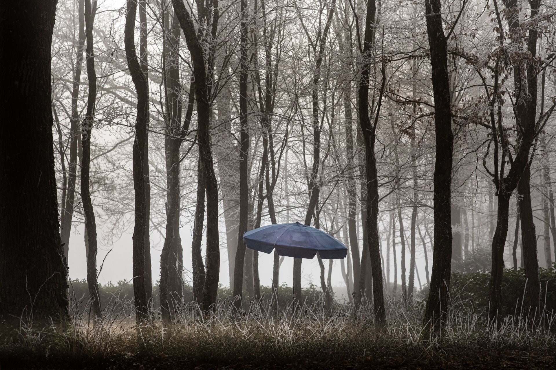 Collector Case Yvonne et le parasol bleu - Thierry des Ouches