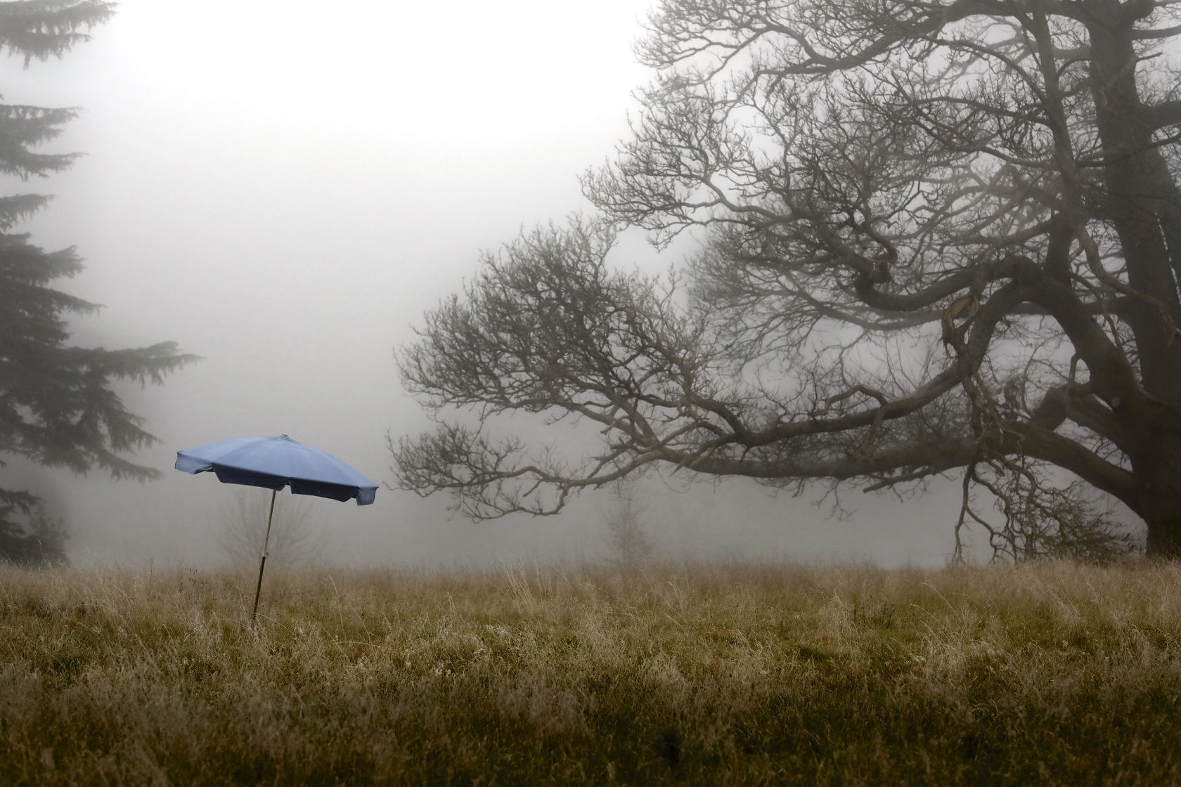 Collector Case Yvonne et le parasol bleu - Thierry des Ouches