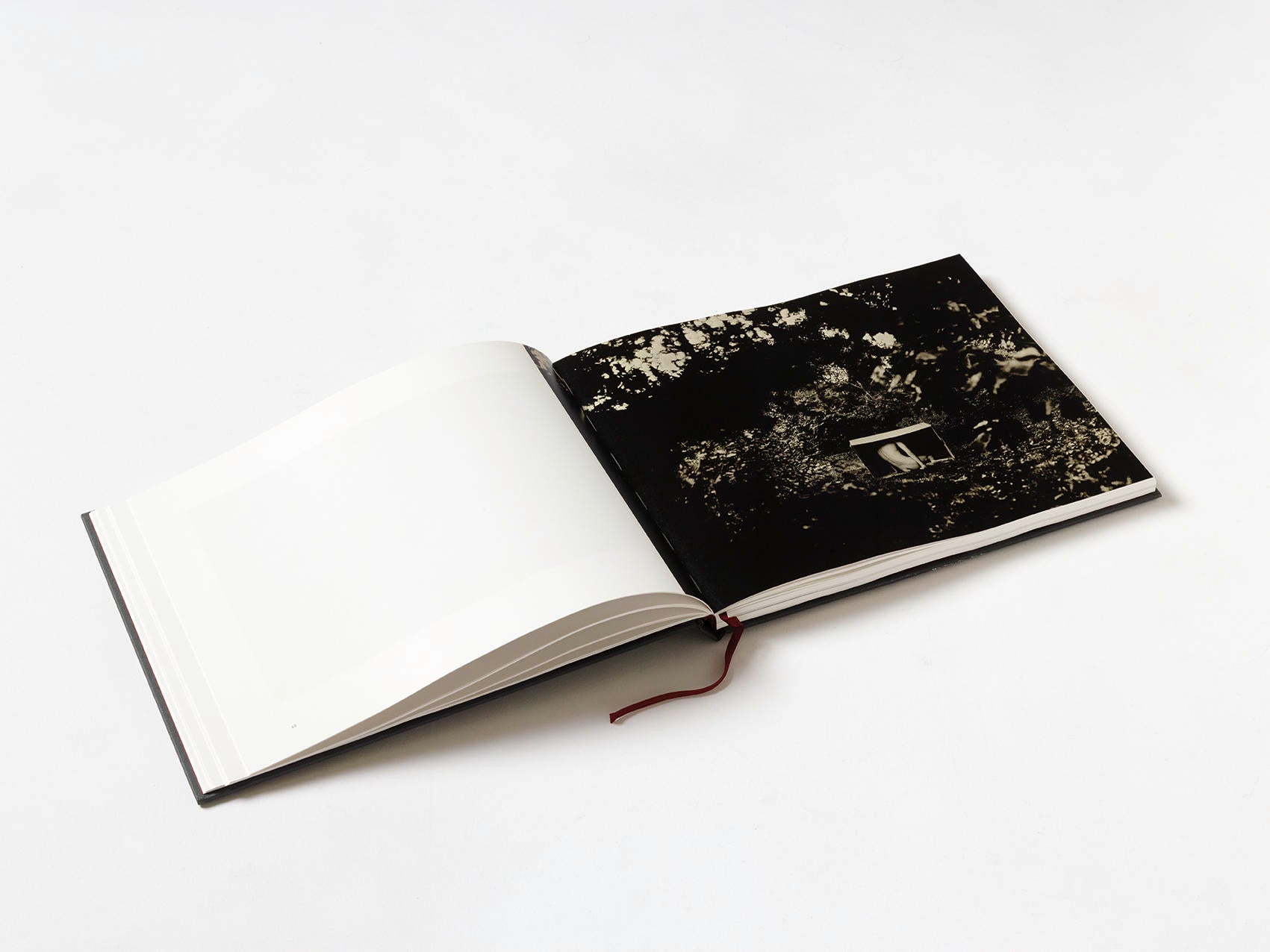 Useful Lies - Éric Antoine