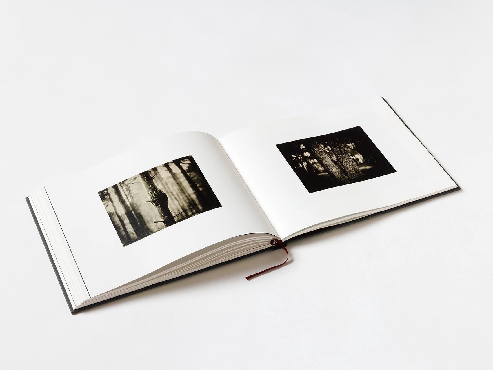 Useful Lies - Éric Antoine