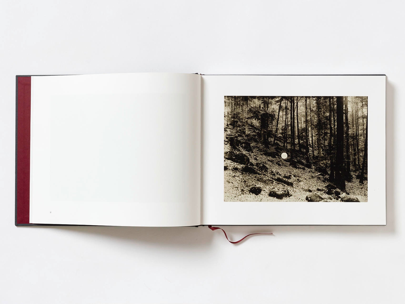 Useful Lies - Éric Antoine