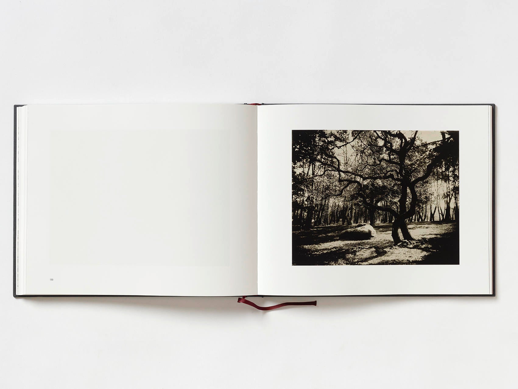 Useful Lies - Éric Antoine