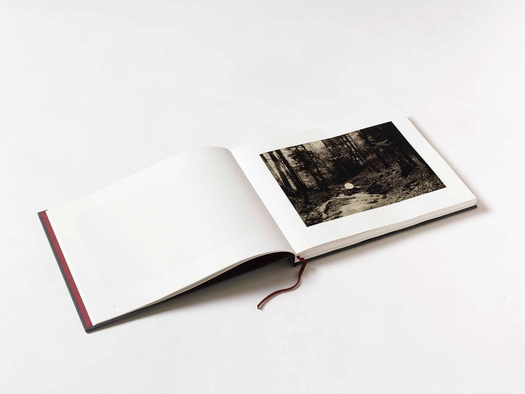 Useful Lies - Éric Antoine