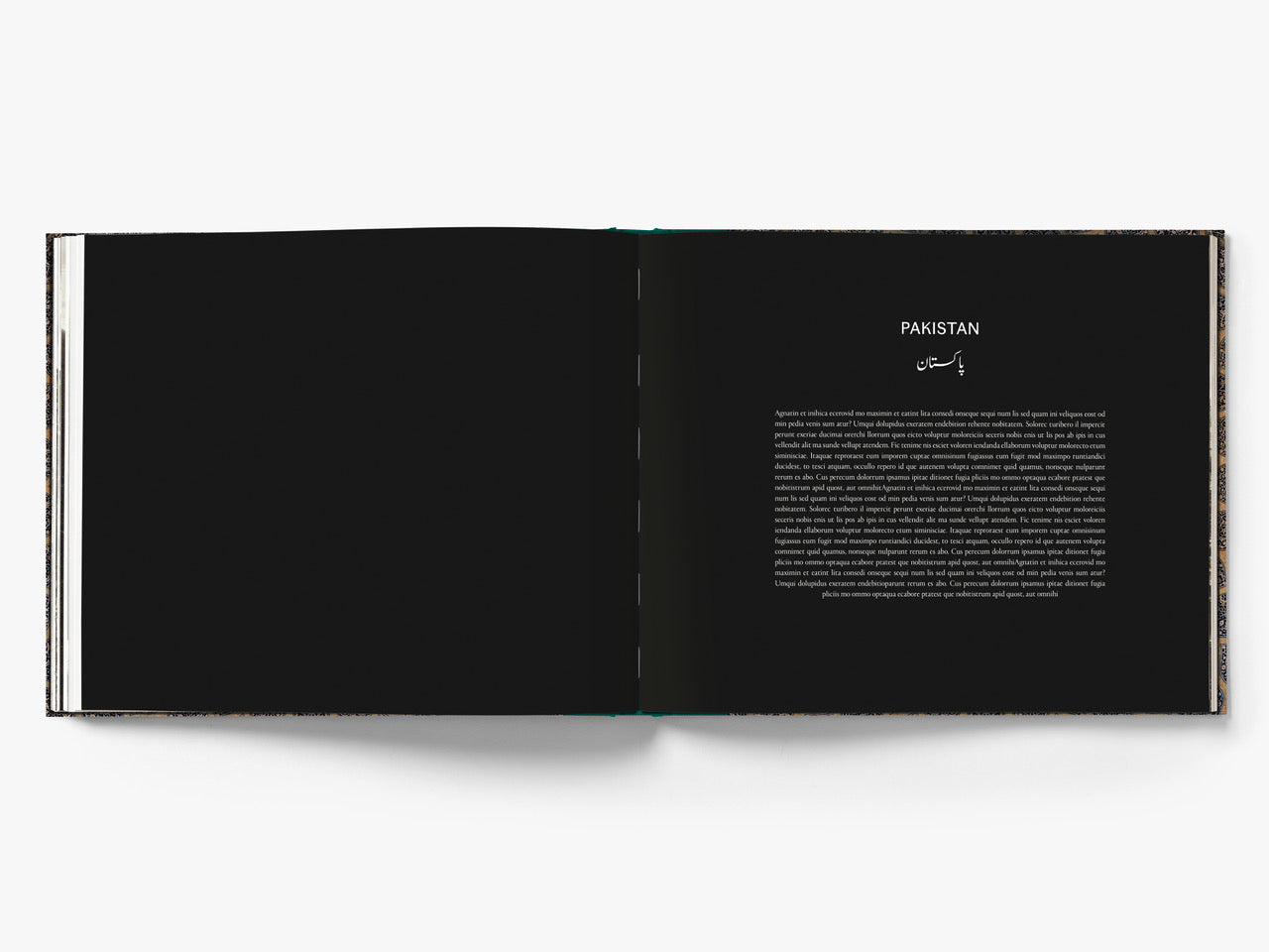 The Silk Road - Christophe Wilton-Steer