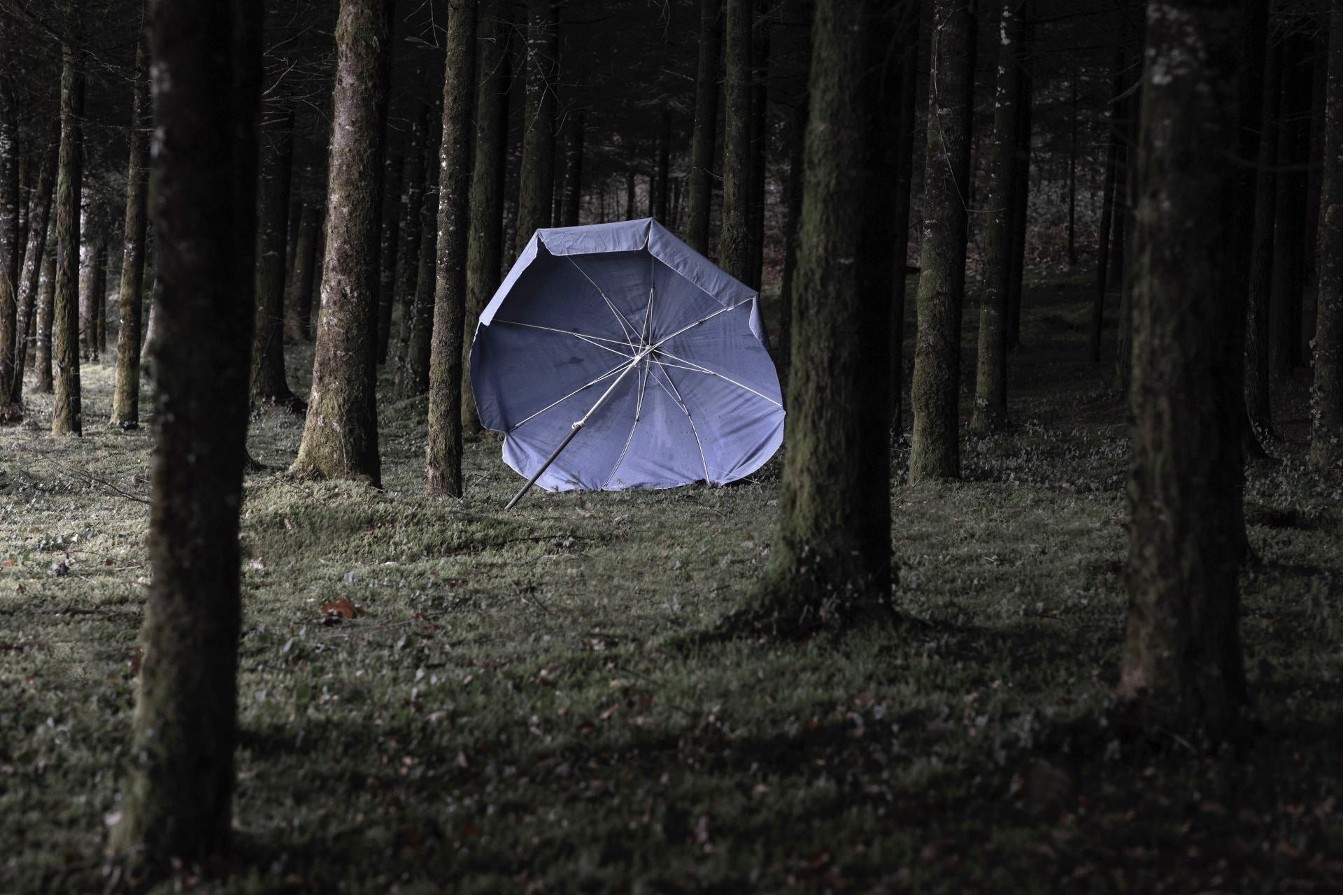 Collector Case Yvonne et le parasol bleu - Thierry des Ouches