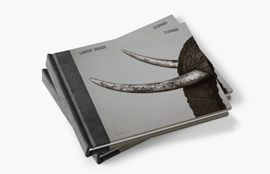 two Elephant books at home (commercial value 118 €)