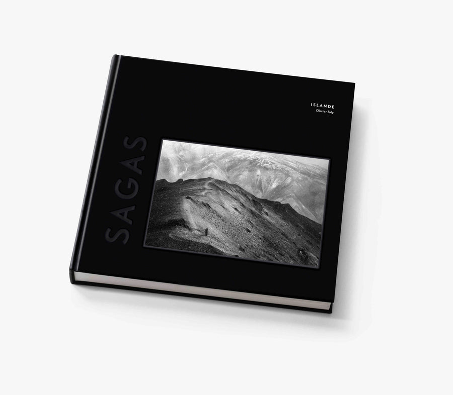 The SAGAS book at a preferential rate (public price in bookshops: 65 € TTC)