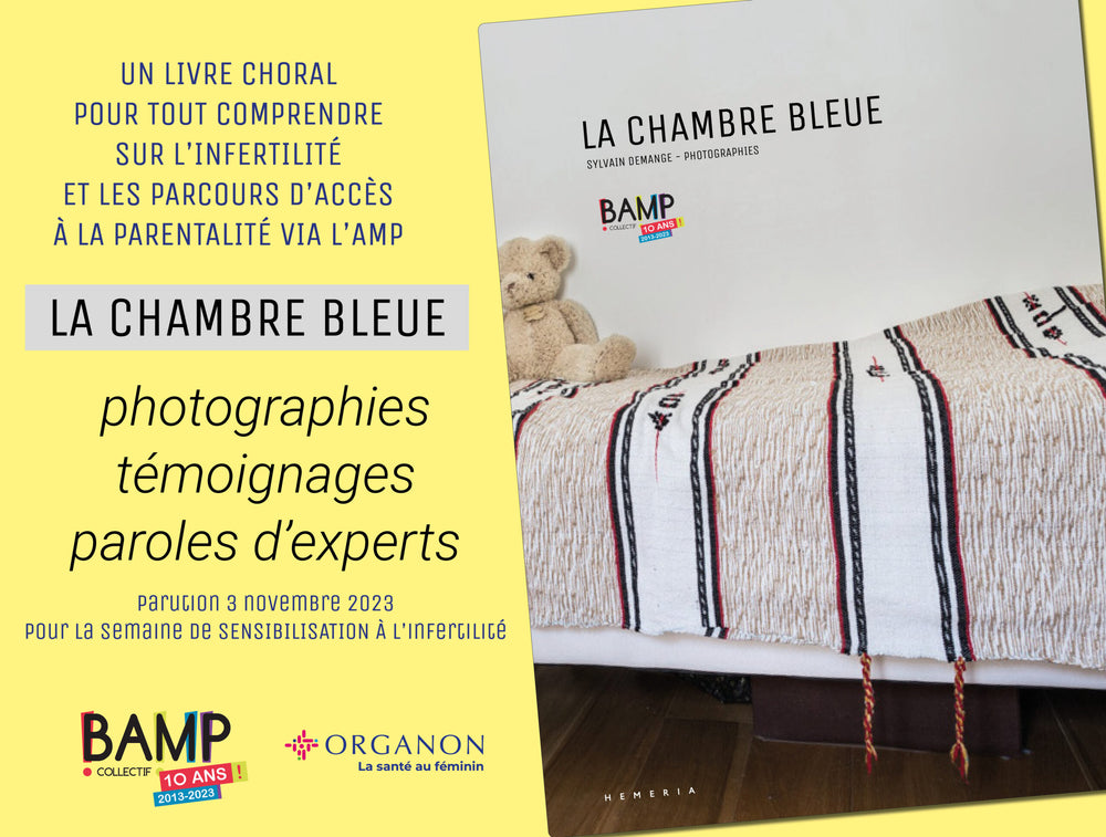 La chambre bleue – Sylvain Demange