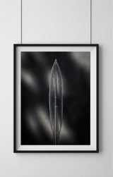 Fine Art La furie et la foi